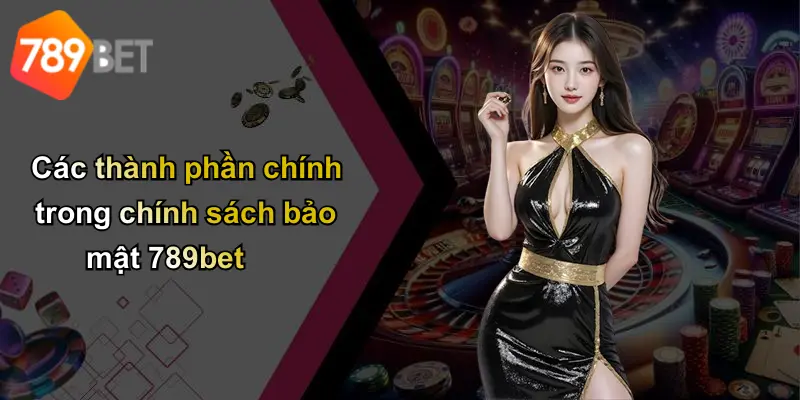 Các thành phần chính trong chính sách bảo mật 789bet